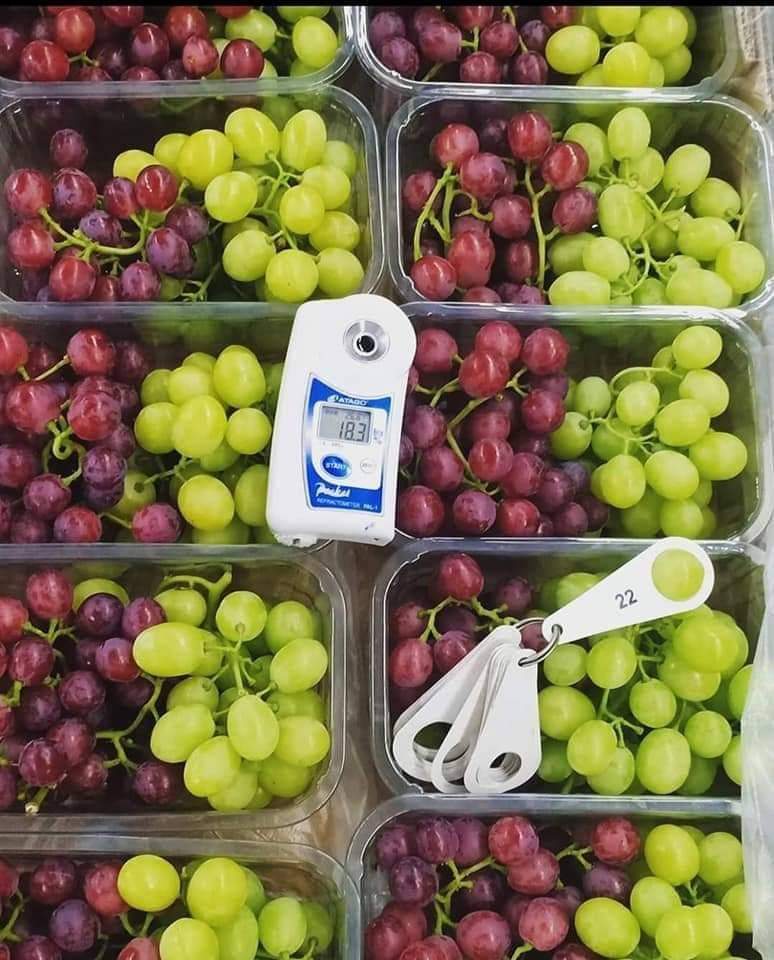 Grapes