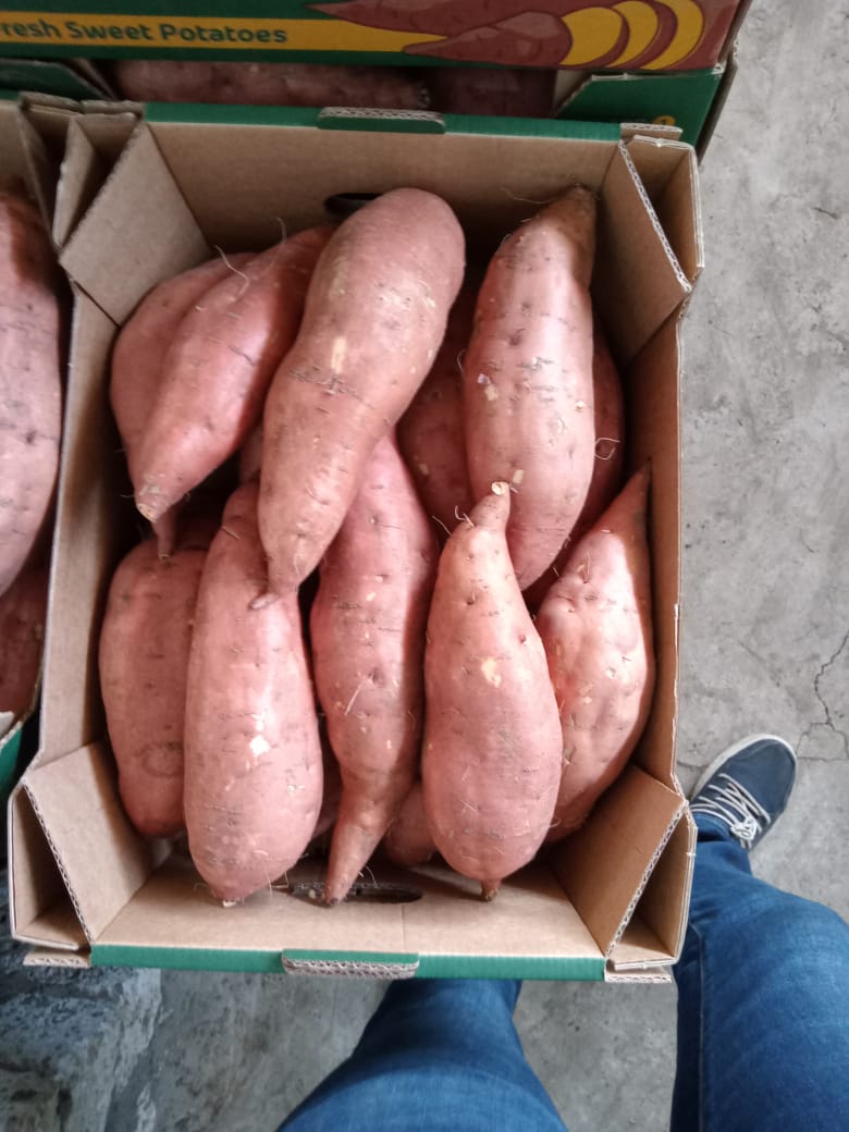 Potato