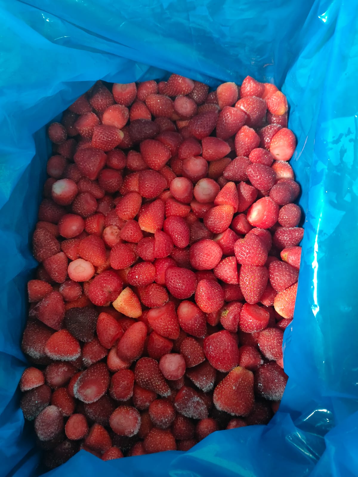 IQF
                                                                                Strawberry